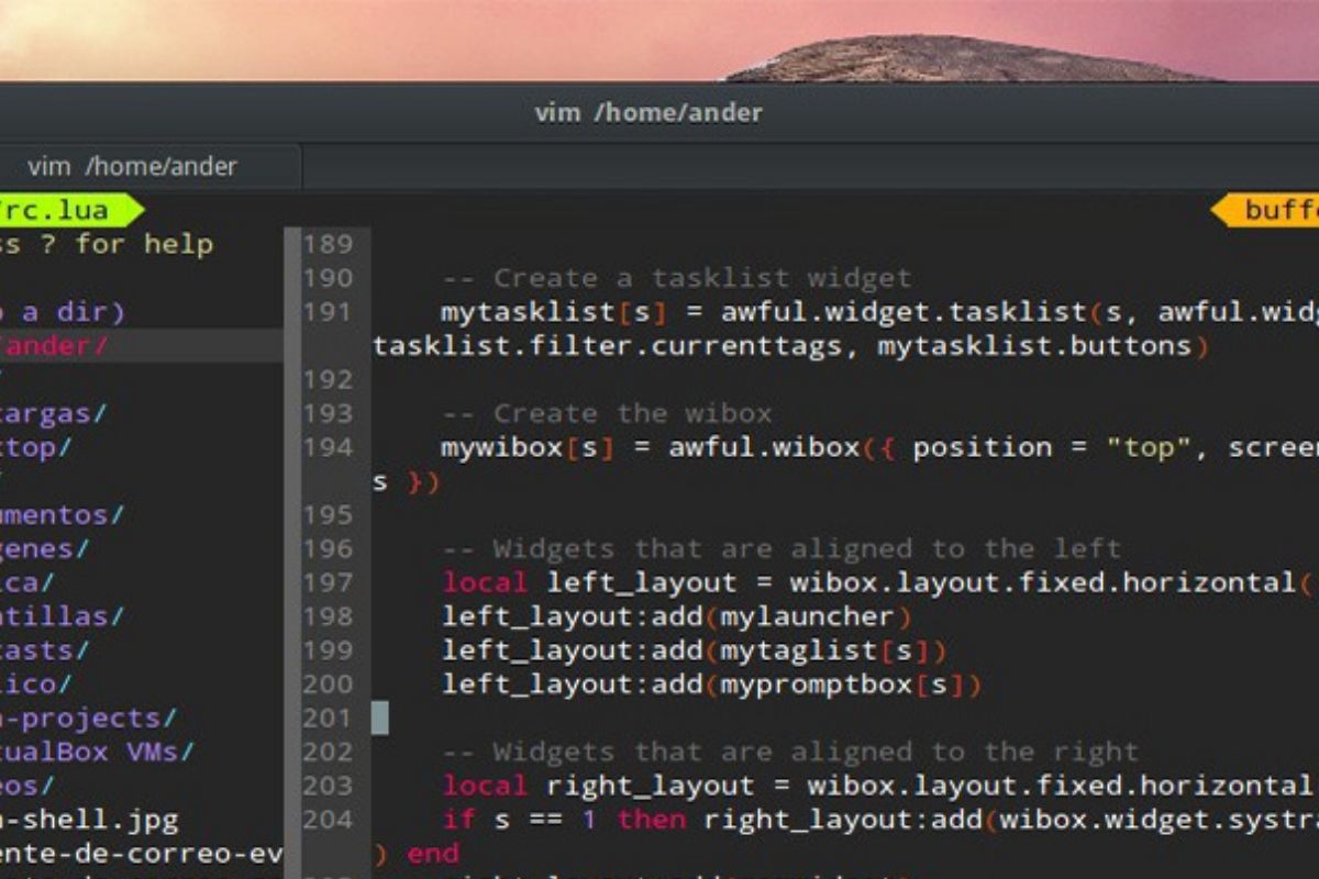 Programar en Linux