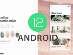 Colores dinámicos de Android 12