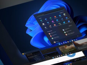 Novedades de Moment 2 para Windows 11