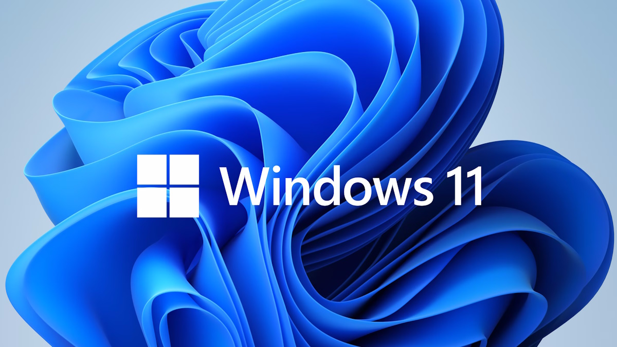 Nueva característica llega a la barra de búsqueda de Windows 11