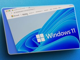 Windows 11 KB5030301